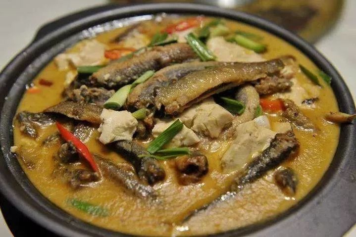人參魚 人參魚