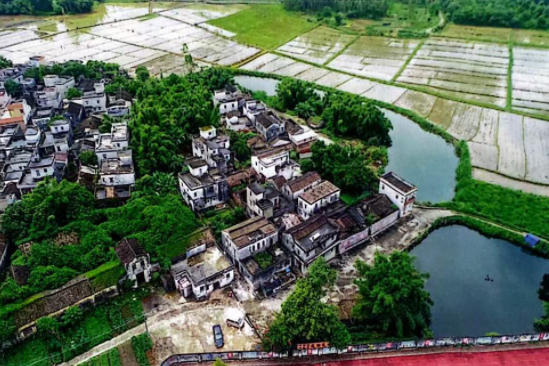 西頭村(廣東省江門市開平市赤坎鎮護龍行政村下轄自然村)