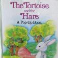Tortoise & The Hare Tortoise & The Hare