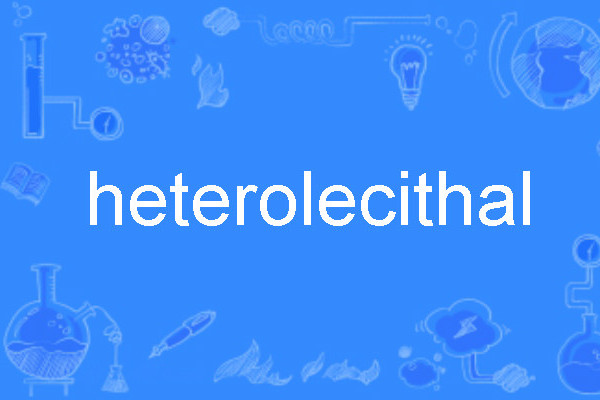 heterolecithal heterolecithal