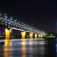 武漢長江大橋(中國湖北省武漢市境內橋樑)