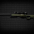 AWM(遊戲《穿越火線》中的武器) AWM(遊戲《穿越火線》中的武器)