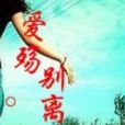 七月琉璃