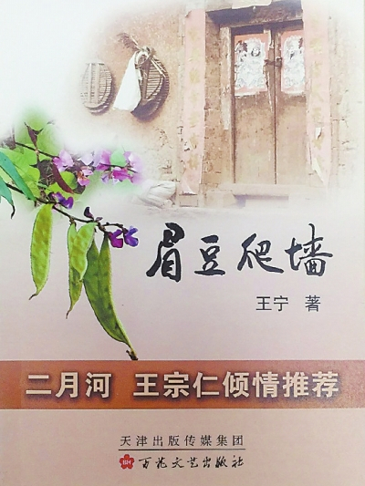 眉豆爬牆 眉豆爬牆