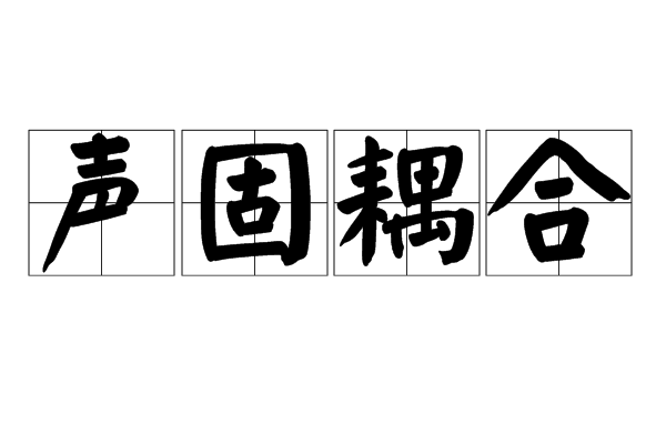 聲固耦合 聲固耦合