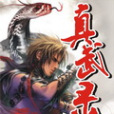 真武錄 真武錄