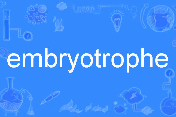 embryotrophe embryotrophe