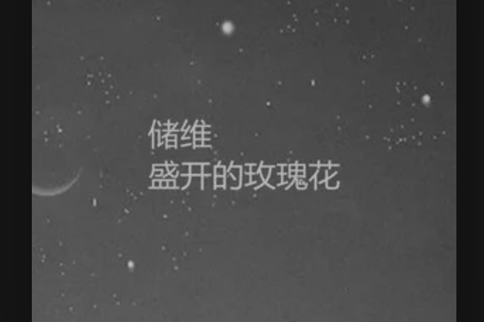 是愛是情 是愛是情