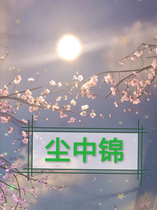 塵中錦 塵中錦