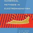 Numerical Methods in Electromagnetism Numerical Methods in Electromagnetism