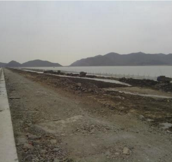 北洋海堤 北洋海堤