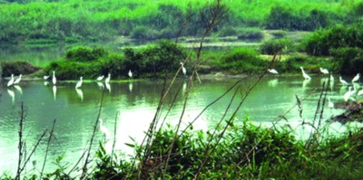 安徽六安淠河國家濕地公園管理辦法