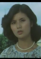 小城故事(1980年上映由李行導演電影)