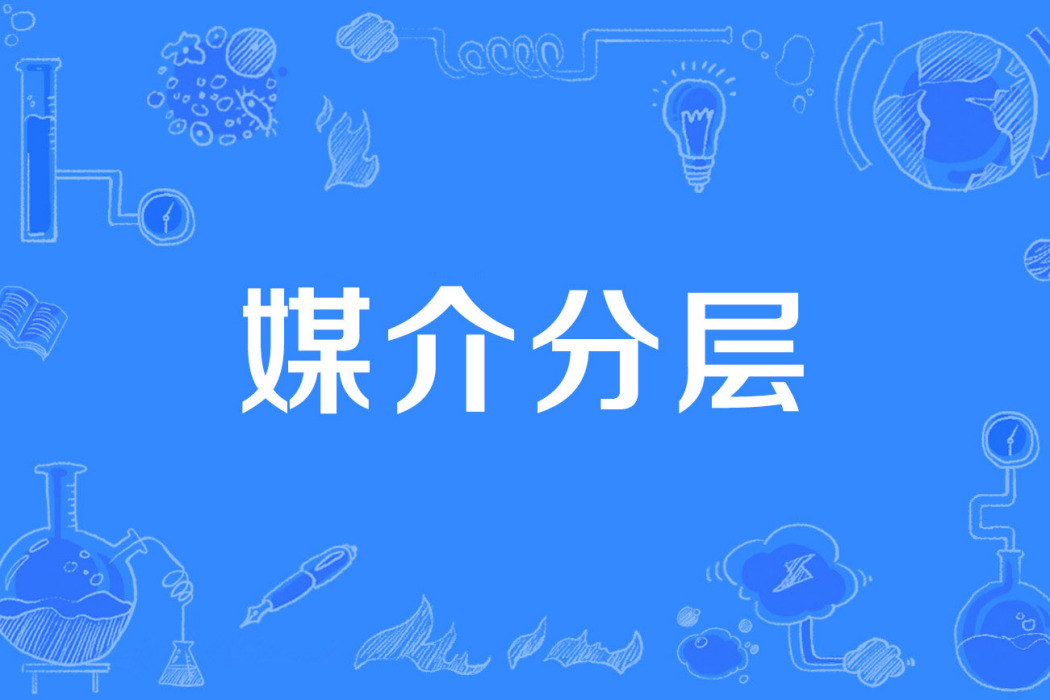 媒介分層 媒介分層