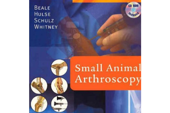 Small Animal Arthroscopy Small Animal Arthroscopy