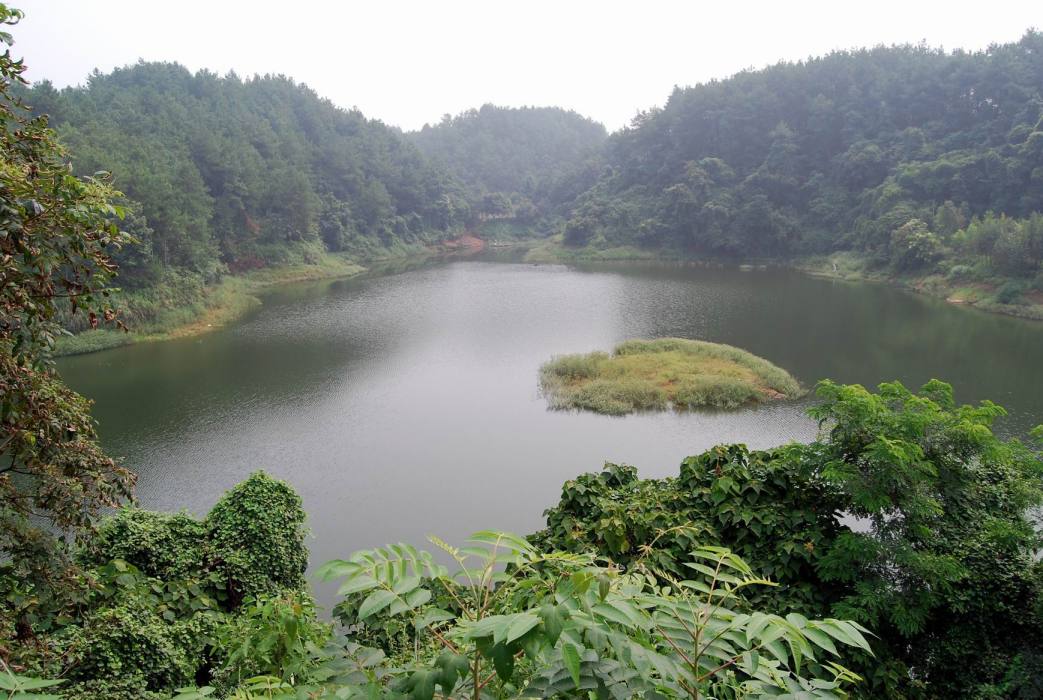 眉山陳溝村 眉山陳溝村