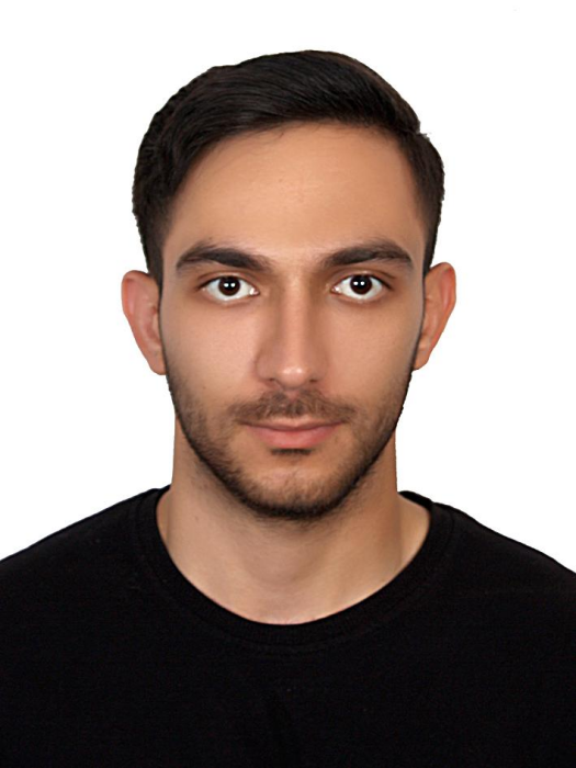 HOSSEINI Seyedmohammad HOSSEINI Seyedmohammad