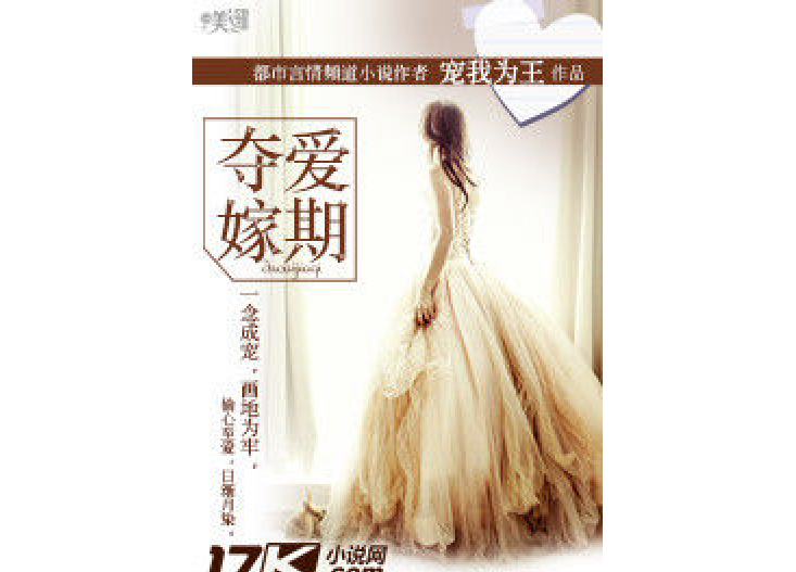 奪愛嫁期 奪愛嫁期