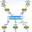 中國公用分組交換數據網(CHINAPAC) 中國公用分組交換數據網(CHINAPAC)