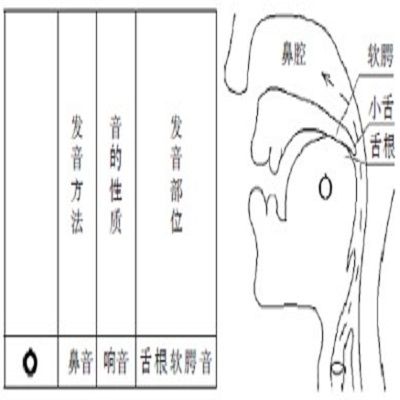 彈舌音 彈舌音