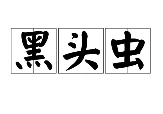 黑頭蟲 黑頭蟲