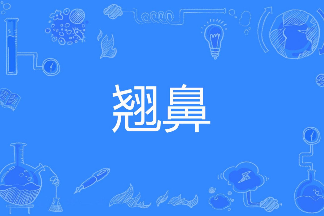 翹鼻 翹鼻