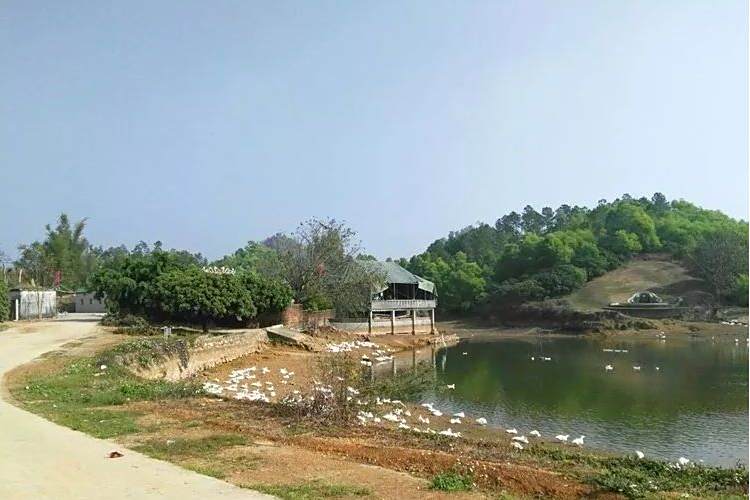 飛仙橋村 飛仙橋村