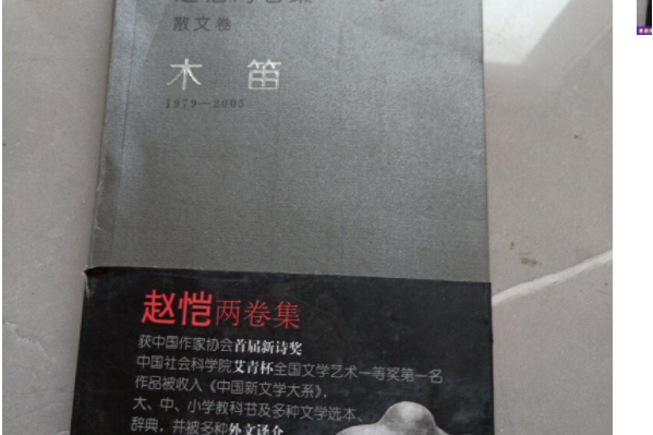 木笛(2006年人民文學出版社出版的圖書) 木笛(2006年人民文學出版社出版的圖書)