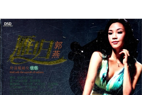 雁歸(2008年北嶽文藝出版社出版的圖書) 雁歸(2008年北嶽文藝出版社出版的圖書)