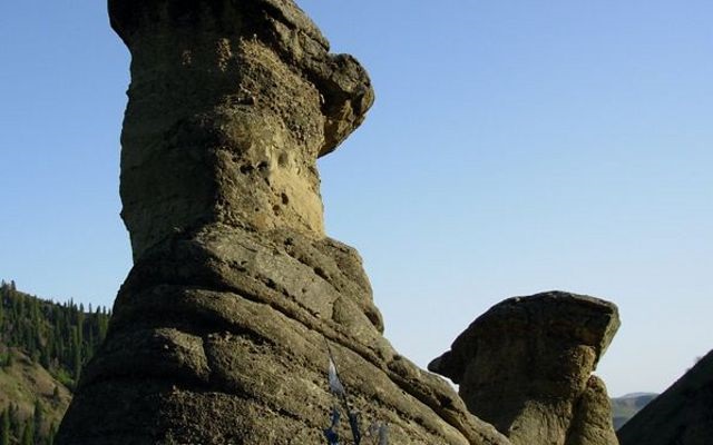 阿爾斯郎(新疆尼勒克縣風景區)