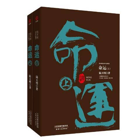 命運(2018年天津人民出版社出版的圖書) 命運(2018年天津人民出版社出版的圖書)