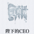 陛下的CEO 陛下的CEO
