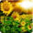 3D Sunflower