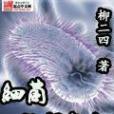 細菌終極進化