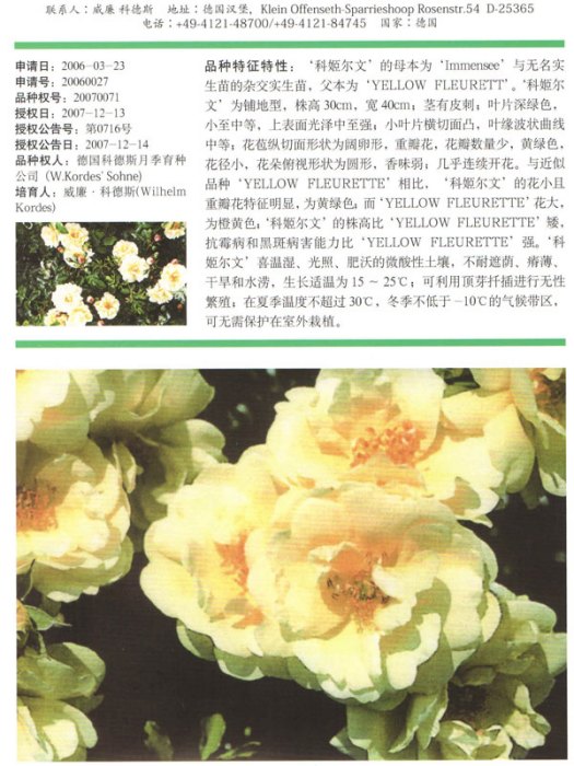 科姬爾文 科姬爾文