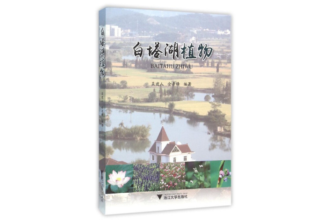 白塔湖植物 白塔湖植物
