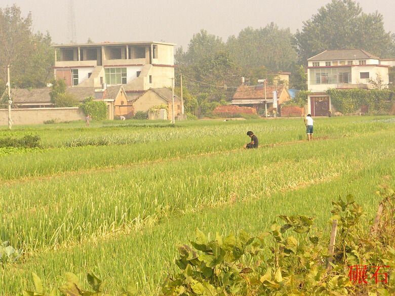 碾石村 碾石村