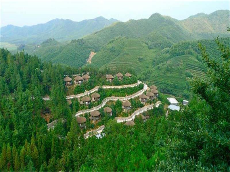 空樹村 空樹村