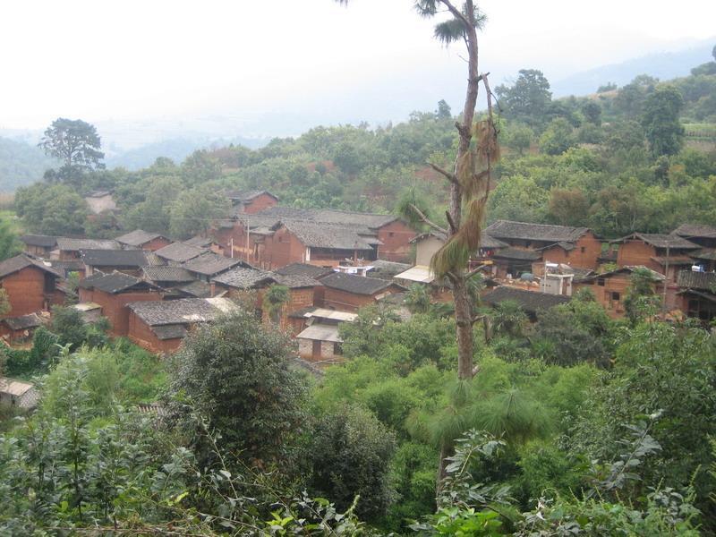 盧房咪村 盧房咪村
