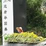 守墓人(看守、管理墳塋墓地的人) 守墓人(看守、管理墳塋墓地的人)
