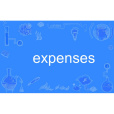 expenses expenses