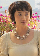 女婿難當(2012年馮興華執導電視劇)