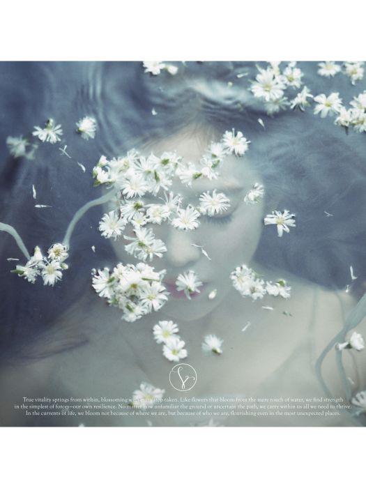 Like A Flower(2024年裴珠泫推出的迷你專輯) Like A Flower(2024年裴珠泫推出的迷你專輯)
