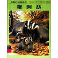 獾阿瑟 獾阿瑟