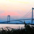 南京夾江大橋 南京夾江大橋