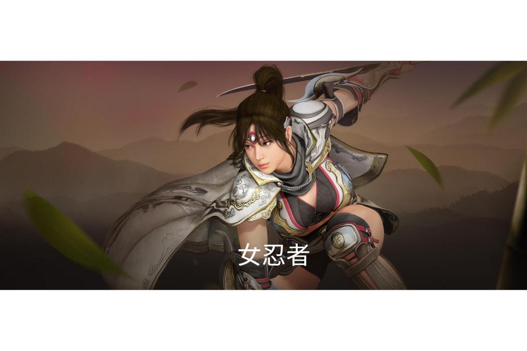 女忍者(遊戲《黑色沙漠》中的職業) 女忍者(遊戲《黑色沙漠》中的職業)