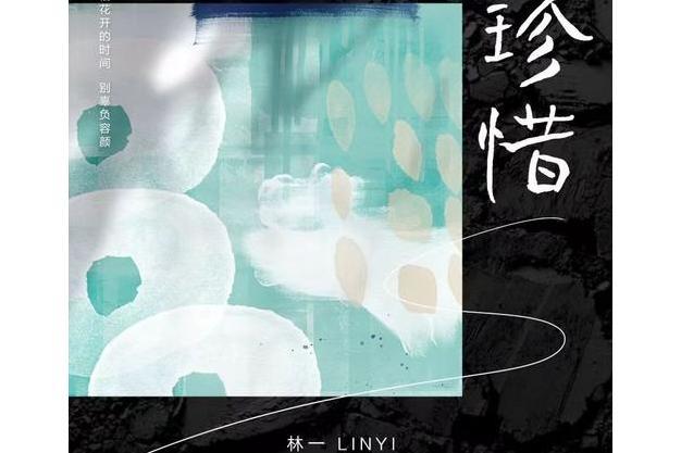 珍惜(林一演唱歌曲) 珍惜(林一演唱歌曲)