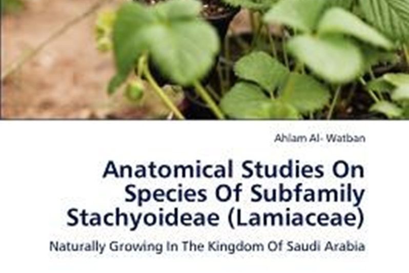 Anatomical Studies on Species of Subfamily Stachyoideae