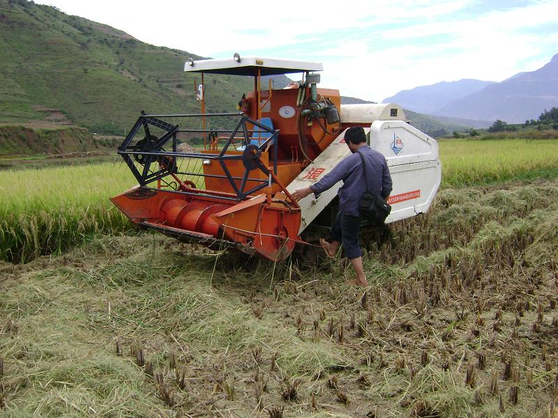 下飛來寺村收割水稻