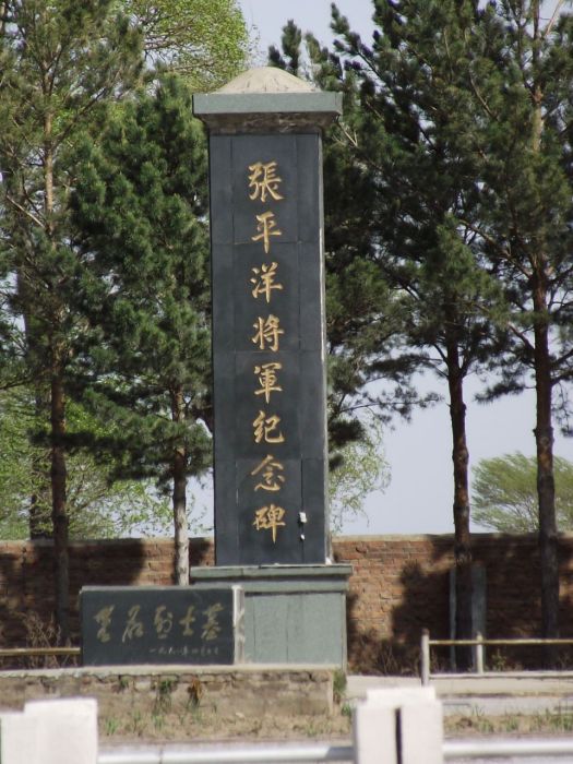 張平洋 張平洋